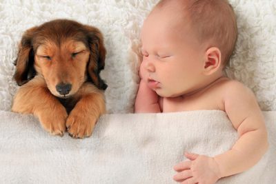 Bebé y mascotas en casa