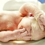 Lee más sobre el artículo ¿Qué es la capa blanca del bebé?
